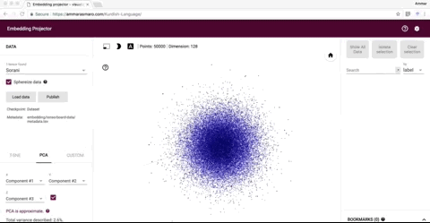 Kurdish NLP Applications